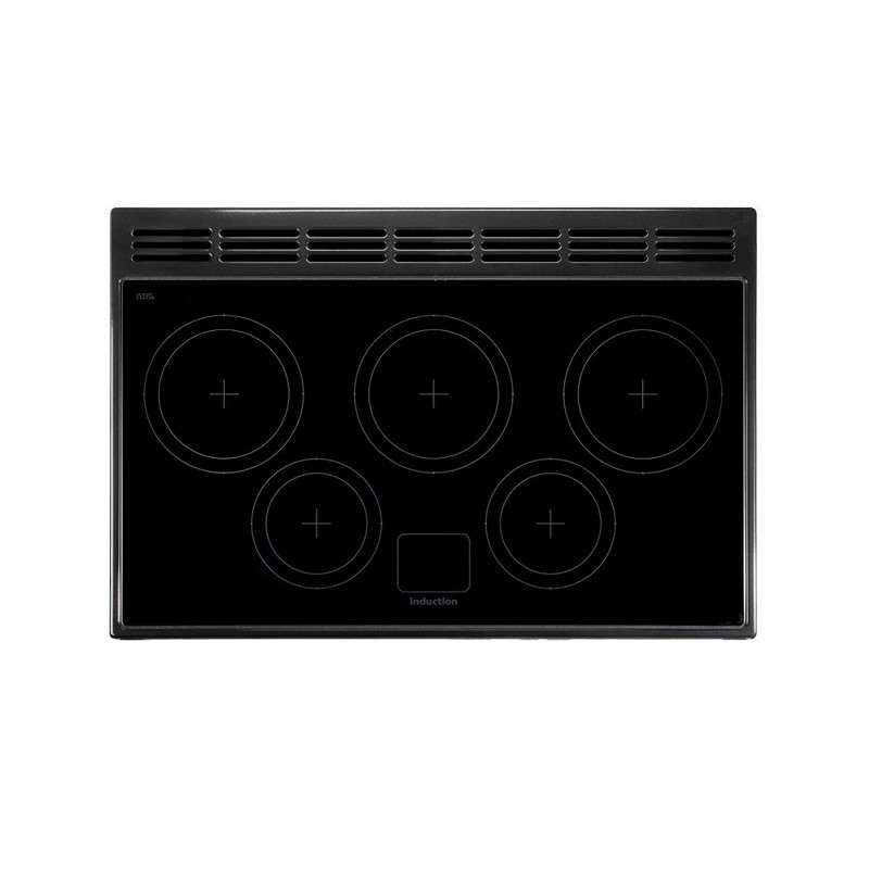 Cuisinière Falcon Professional + induction 100 cm